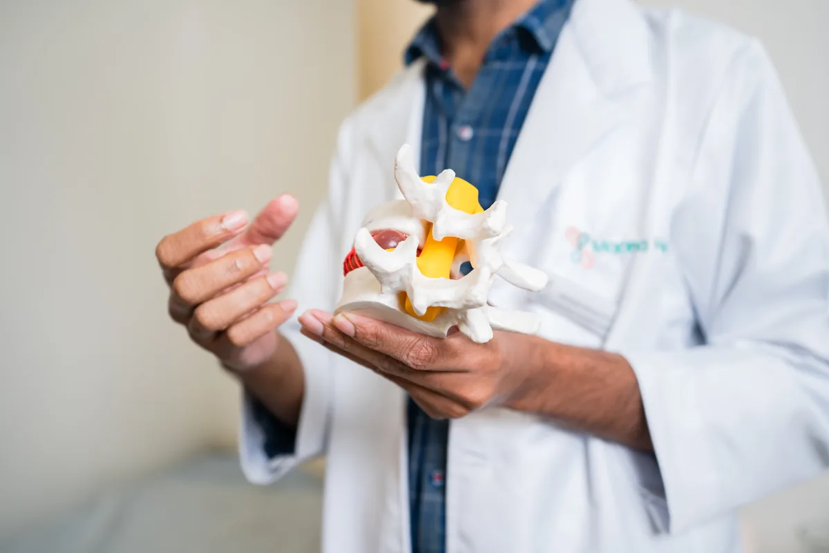 A doctor holding a spine model during a consultation